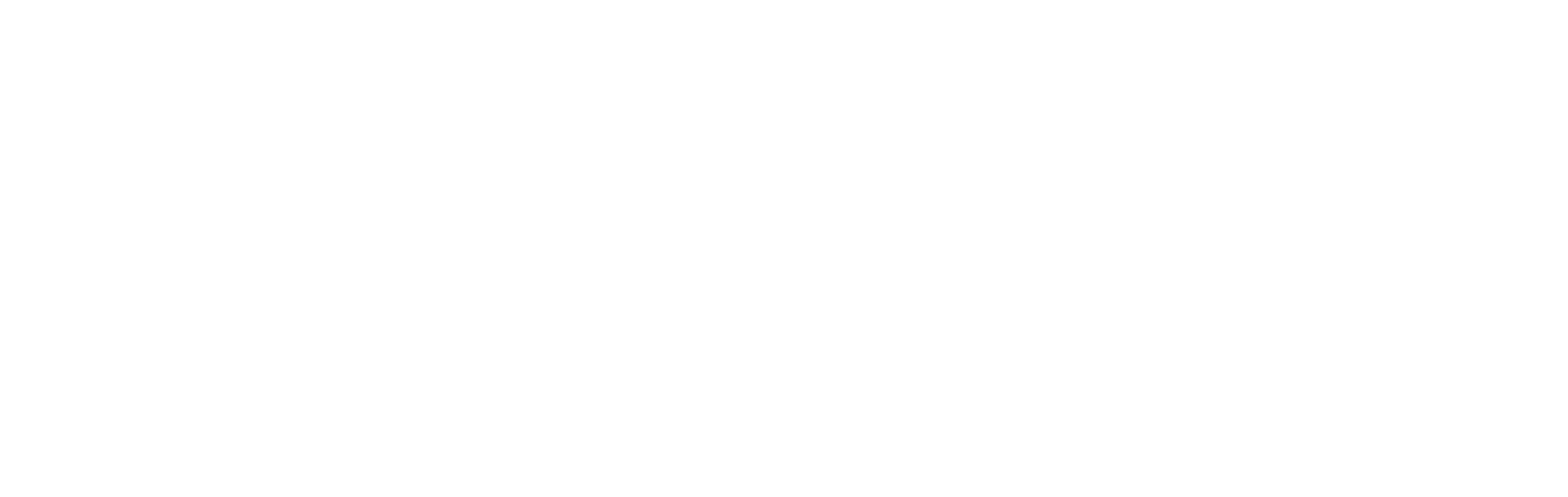 Logo Bourlinger